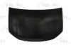 DACIA 651001918R Bonnet
